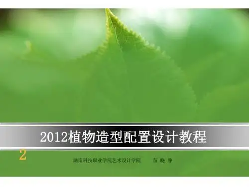 植物配置教程 — 02