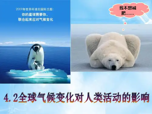 高考地理复习课件：全球气候变化对人类活动的影响