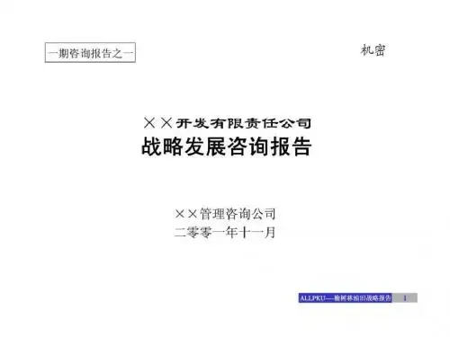 ××公司战略发展咨询报告