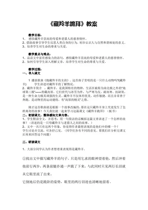藏羚羊的跪拜教案