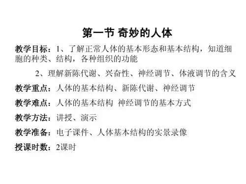奇妙的人体