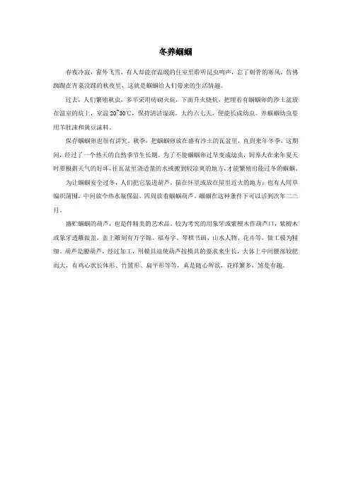 冬养蝈蝈
