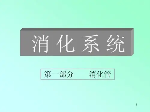 10消化系统