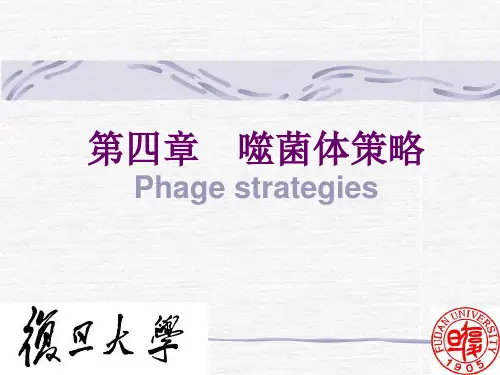 复旦大学生化课件噬菌体策略