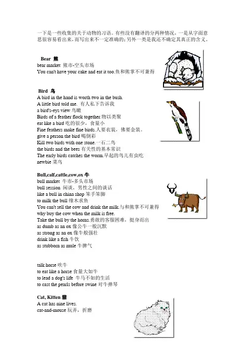 关于动物的习语