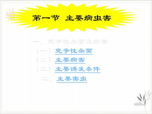 食用菌栽培PPT课件