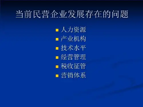 民营经济3 PPT课件