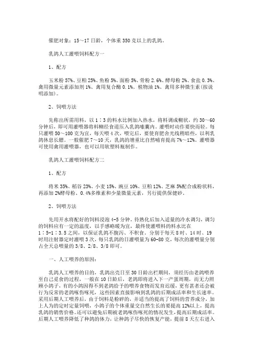 肉鸽人工灌喂技术(最新)