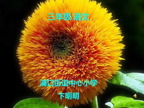 《七色花》课件
