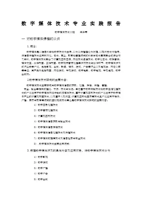 数字媒体技术专业实践报告