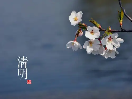 在农历的天空下二十四节气之清明-PPT(精)