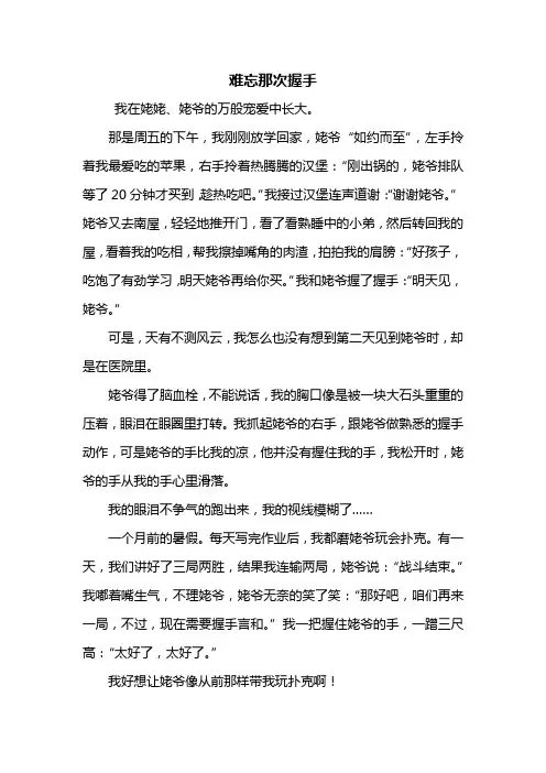 五年级作文：难忘那次握手作文800字