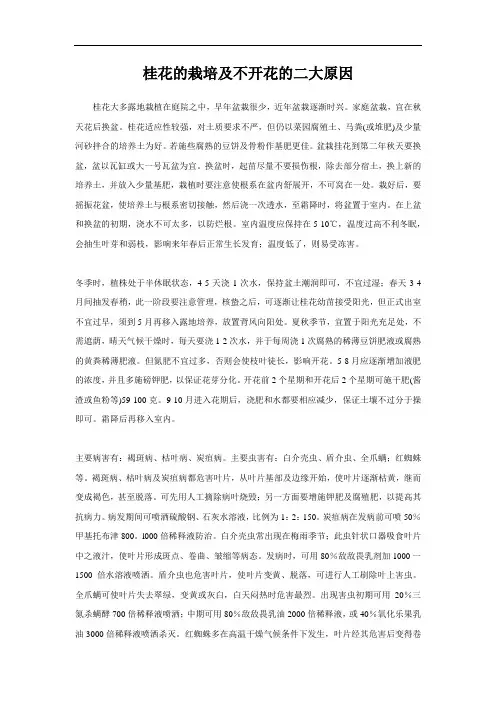 桂花的栽培及不开花的二大原因