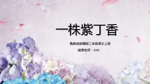 鲁教版二年级语文上册一株紫丁香PPT课件