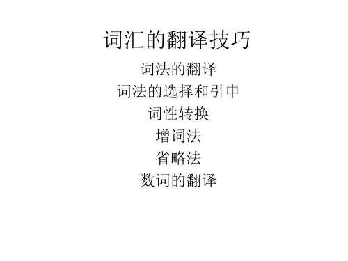 翻译技巧一：词法翻译法