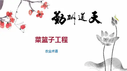菜篮子工程 