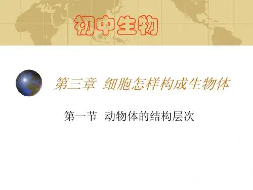第二单元第三章第一节 动物体的结构层次