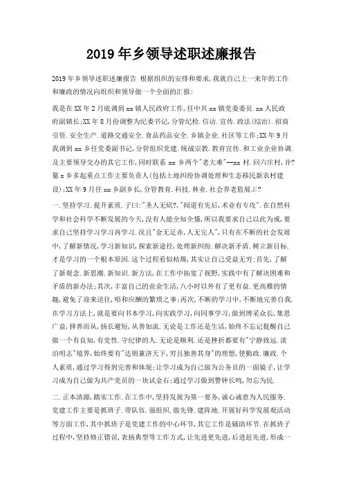 最新-2019年乡领导述职述廉报告02019 精品