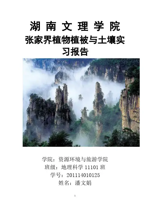 张家界植被与土壤实习报告