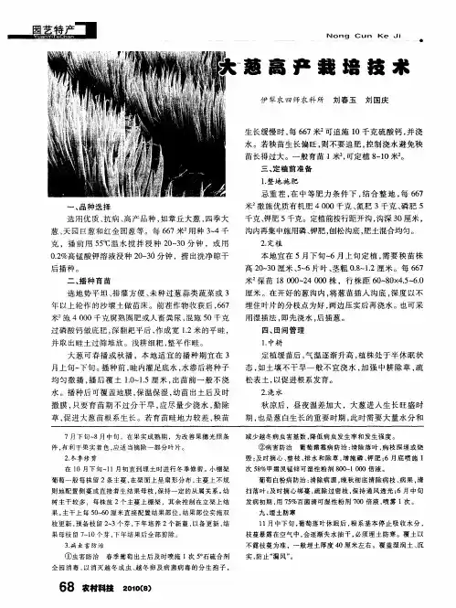 大葱高产栽培技术 2