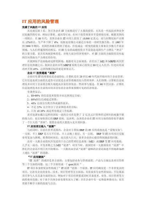 IT应用的风险管理