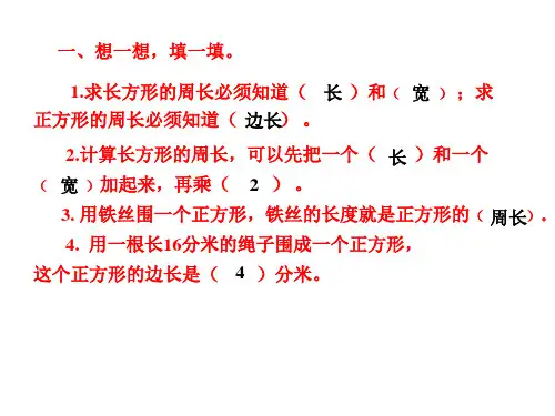 长方形和正方形的周长 练习课