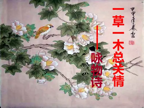 高考诗歌鉴赏：一草一木总关情——咏物诗 PPT优秀课件