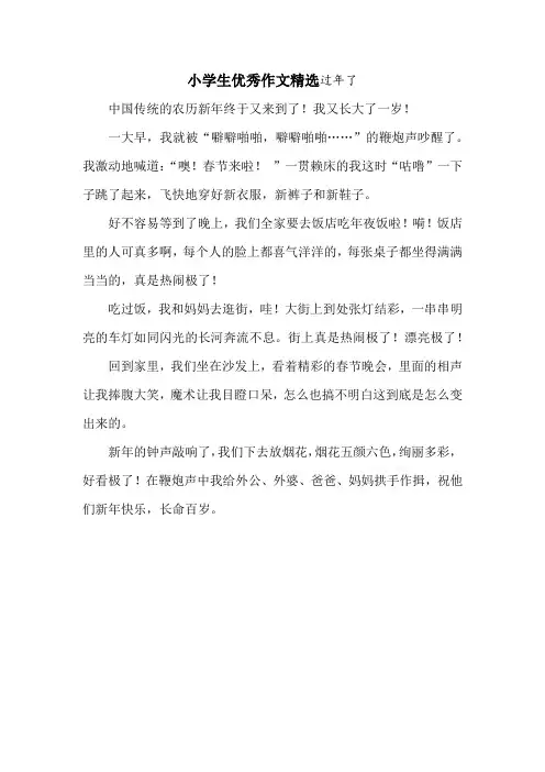 小学生优秀作文精选过年了