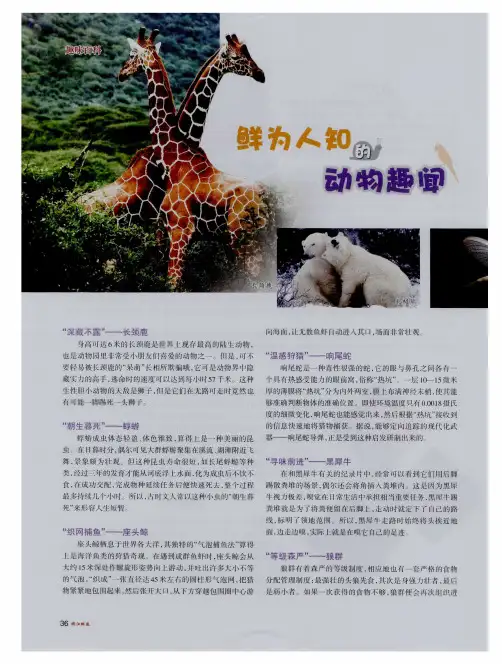 鲜为人知的动物趣闻