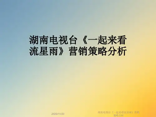 湖南电视台《一起来看流星雨》营销策略分析