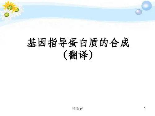 基因指导蛋白质的合成(翻译)PPT课件