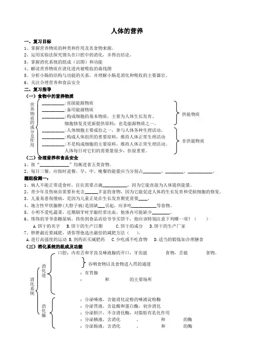 人体的营养复习教案