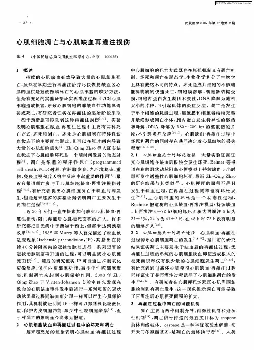 心肌细胞凋亡与心肌缺血再灌注损伤