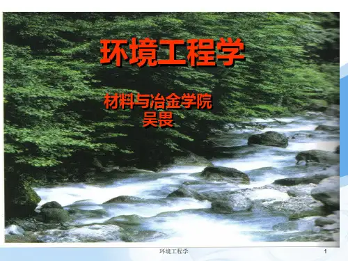 水体自净能力及处理准则(5月8日)