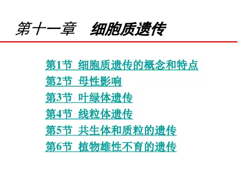 第十一章 细胞质遗传