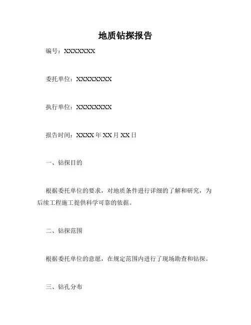 地质钻探报告