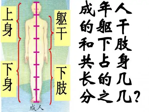 06 奇妙的变化(分数的初步认识)d