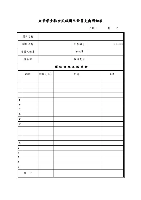 大学学生社会实践团队经费支出明细表