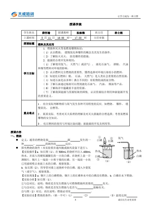燃料及其应用