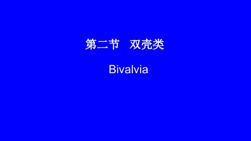 24第二章-2双壳类