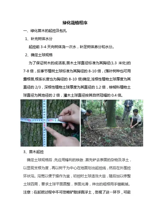 乔木栽植程序