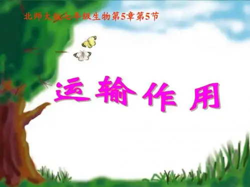 生物：第5章第5节运输作用课件(北师大版七年级上) (2)