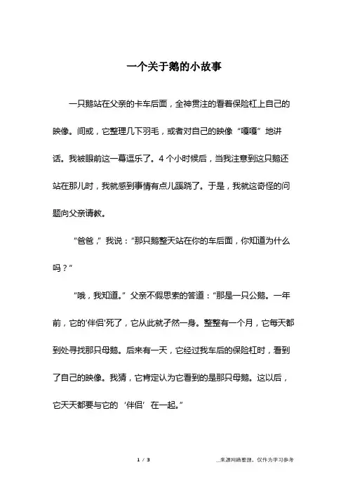 一个关于鹅的小故事