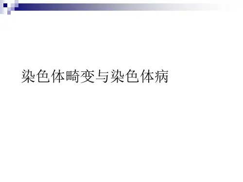 染色体畸变与染色体病PPT课件