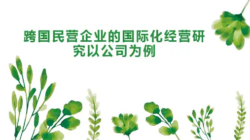 跨国民营企业的国际化经营研究以公司为例