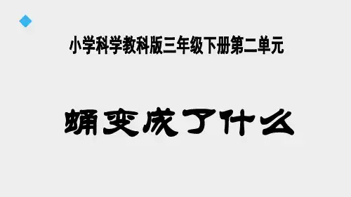教科版小学三年级科学下册单课件-蛹变成了什么(4).ppt