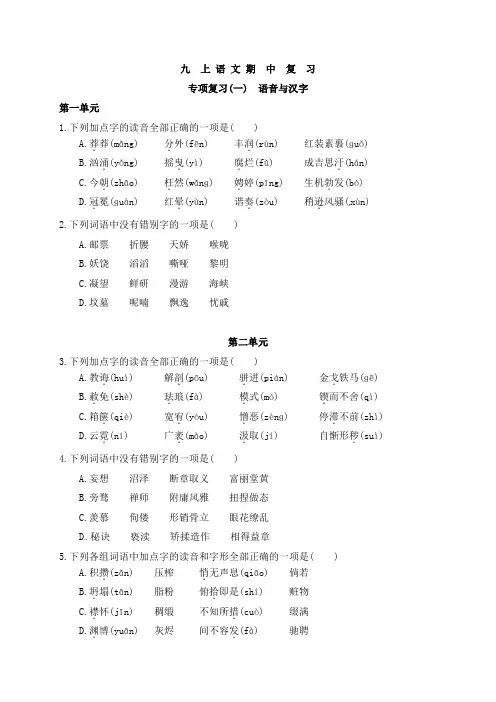 九年级上册《语文》期中专项复习