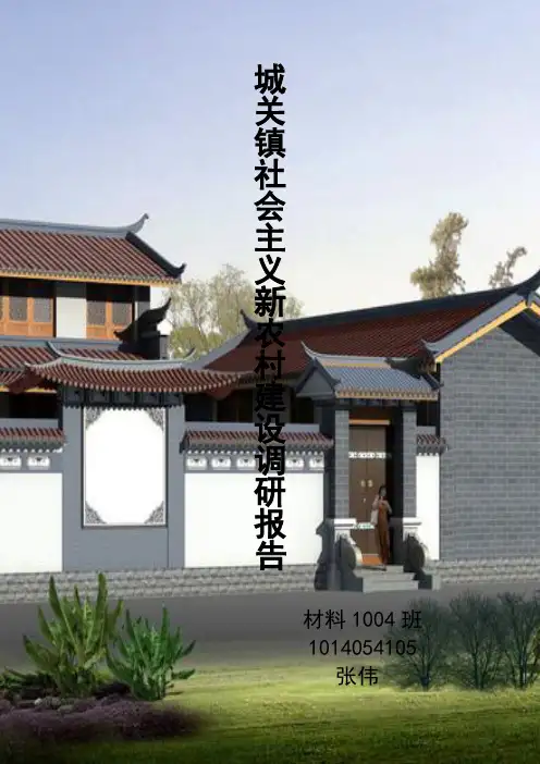 新农村建设调研报告