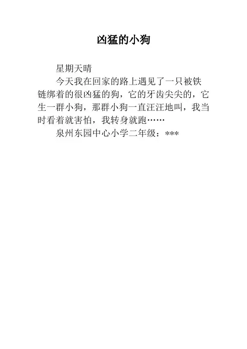 凶猛的小狗