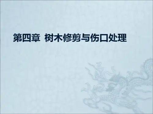 第四章树木修剪与